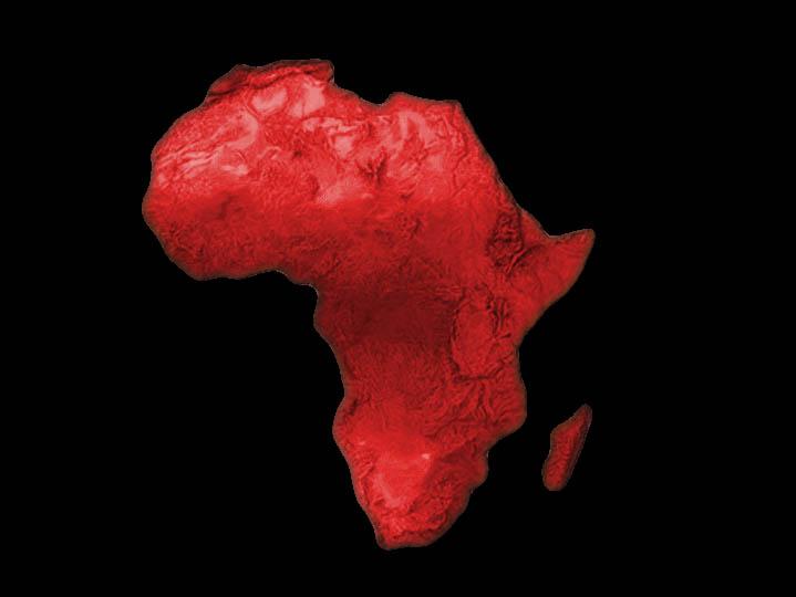 Black African Art in the form of Wildlife True African Art