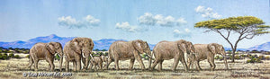 Joseph Thiongo  |  Kenya  |  "Elephant Protection"  |  Original   |  True African Art .com