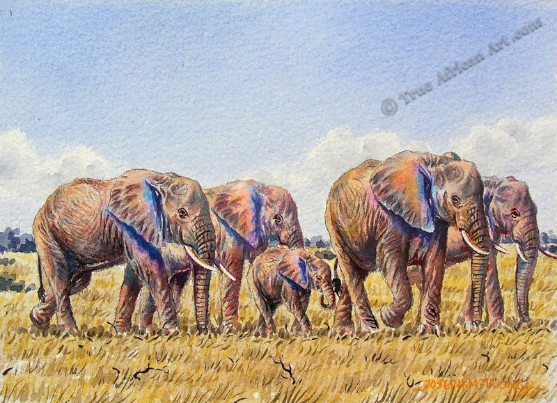 Elephants Walking