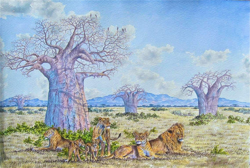 Lions by the Baobab
