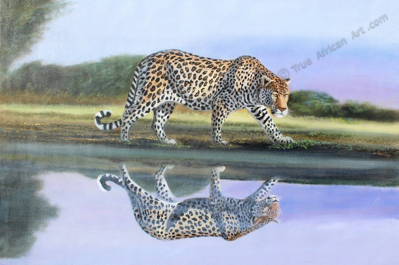 Africa watercolor savanna leopard, animal - Stock Illustration