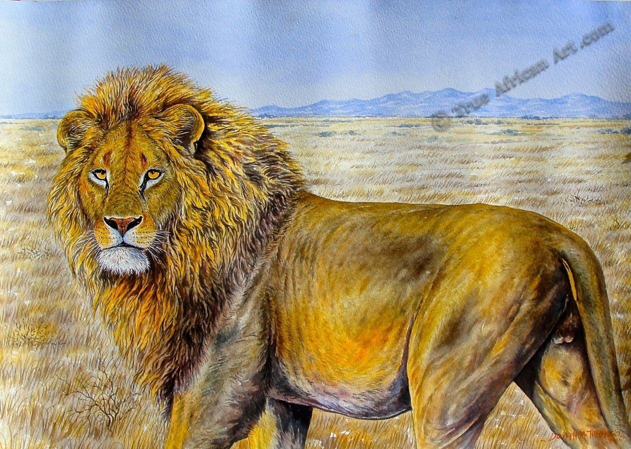 Fierce Lion - SirG - Paintings & Prints, Animals, Birds, & Fish, Wild Cats,  African Lion - ArtPal