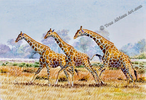 Joseph Thiongo  -  "Three Giraffes"  -  True African Art.com