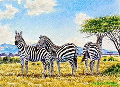Joseph Thiongo  |  Zebras  |  Print